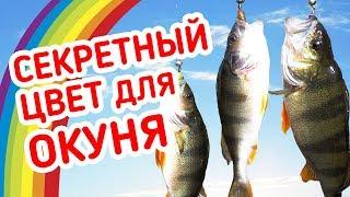 СЕКРЕТНЫЙ цвет приманки на ОКУНЯ! Рыбалка на микроджиг с берега.