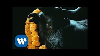 FOALS - Black Bull [Official Music Video]