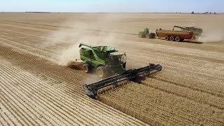 Australian Harvest 2017