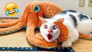 30 МИНУТ СМЕХА ДО СЛЁЗ! КОТЫ, СОБАКИ, МЕДВЕДИ – ТЫ НЕ ГОТОВ! 