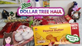 Fun DOLLAR TREE HAUL!  New Finds!! December 16, 2024