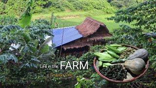 Living off-grid in a  MODERN BAHAY KUBO picking fresh edibles Squash, snail, tamarind, bagbagkong