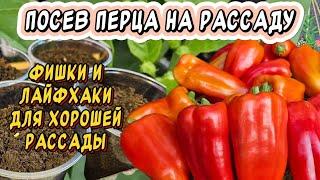 Перец даст хороший урожай: правильный посев на рассаду. Нюансы, фишки, лайфхаки