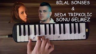 MELODİKA ÖĞRENİYORUM ( BİLAL SONSES & SEDA TRİPKOLİC - SONU GELMEZ )