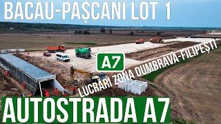 AUTOSTRADA A7  Bacau-Pascani lot 1 | Lucrari zona Dumbrava-Filipesti | 28.10.2024