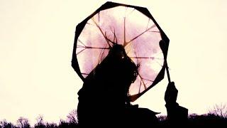 BLACKMARQUIS - CHAMAN