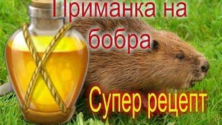 Приманка на бобра, конкретно, подробно, лучший рецепт.