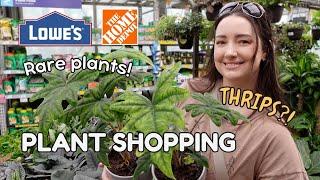 Big Box Plant Shopping! Rare Plants, Thrips  & a Haul! 