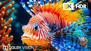 Undersea Kingdom in 8K HDR | Dolby Vision™