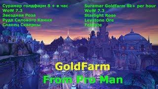 WoW Legion ТоП Голдфарм Сурамар . WoW Legion ToP Goldfarm Suramar