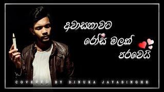 Awasanawata rosa malak parawe | අවාසනාවට රෝස මලක් පරවේ | Cover by Dinuka jayasinghe | Namal udugama