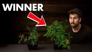 $0 vs $30 Seedling Mix: I TESTED 7 Options to see how big of a difference it makes!