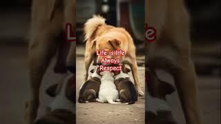 #DreamScreenAI mother with puppies  #soloperte #music #perte #love #80smusic #neiperte