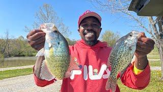 Crappie Fishing No Boat Needed!!