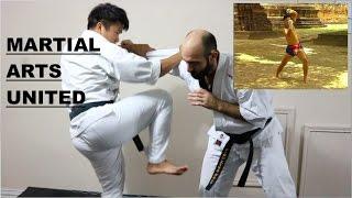 Similarities in Martial Arts