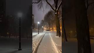 Do you like walking on a snowy day like this video? #walking #snow #ytshorts