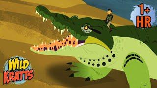 World of Reptiles! Snakes, Crocodiles & Friends | Wild Kratts | 9 Story Kids