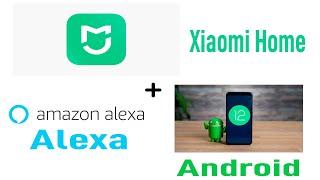 Amazon Alexa to Xiaomi Home | Smart Home Devices.