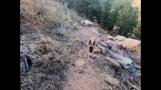 Hiking and Fishing with Hamish and Isla - Carter Lake - Larimer County Colorado