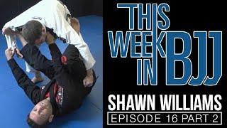 This week in BJJ Episode 16 with Shawn Williams Part 2 omoplata in depth