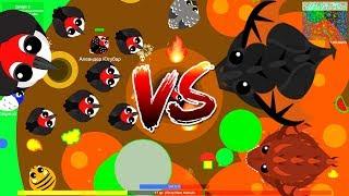 WOODPECKER KILL BLACK DRAGON ! FUNNY MOMENTS AND TROLLING ANIMAL IN MOPE.IO//ЧЁРНЫЙ ДРАКОН МОПЕ ИО