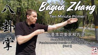 Bagua Zhang Ten Minute Primer - Foundational Basic Skills (Part 1)