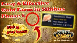 Extrem efficient Gold Farm in Silithus in Phase 5 [WoW SoD]