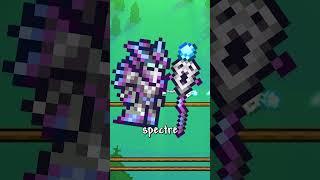 How to beat Terraria with the MAGE Class #terraria #shorts #gaming #gamingshorts