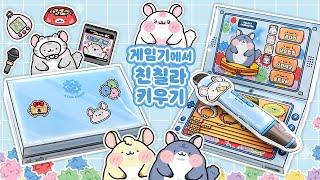 게임기에서 친칠라 키우기DIY 스퀴시🩵