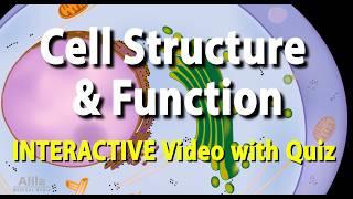 NEW: INTERACTIVE Animation with Quiz: Cell Structure and Functions