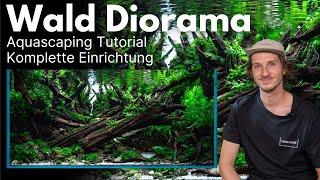 Aquascaping Tutorial: 90cm Wald Diorama Aquarium (Komplette Einrichtung)