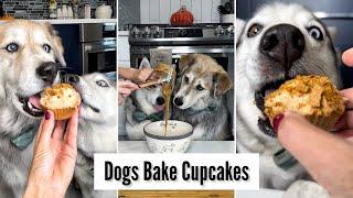 Huskies Bake Cupcakes