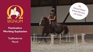 Working Equitation Trailhindernis "Pferch" in der Praxis mit Anja Mertens und Gernot Weber