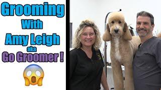 How To Groom A Goldendoodle | with Amy Leigh aka Go Groomer !