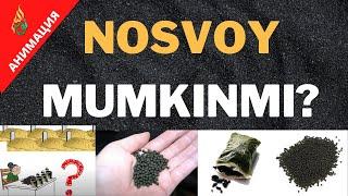 Nosvoy Mumkinmi? / Abdulloh Domla / НОСВОЙ МУМКИНМИ? / Абдуллоҳ домла