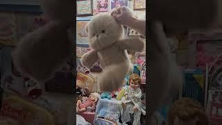 Running Teddy Bear