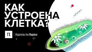 Как устроена клетка?