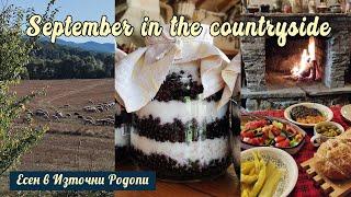 How to make a syrup from elderberry | Autumn vibes | Rural Living in the Countryside of Bulgaria