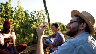Vinpro Cellar Index 2025