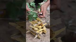 Survival Skills: Lifehack How to make fire for comping! #survival #bushcraft #camping #outdoors