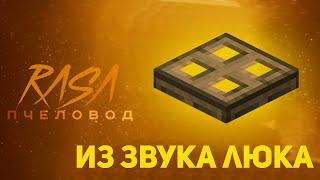 ПЧЕЛОВОД (RASA) ИЗ ЗВУКА ЛЮКА | MINECRAFT МУЗЫКА | РАСА ПАРОДИЯ