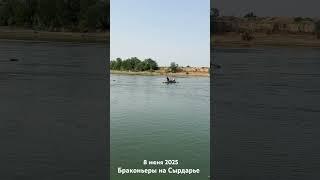 Браконьеры спокойно плавают #baliqovi #fishing #sirdaryo #zanderfishing #ozbekiston #сырдарья