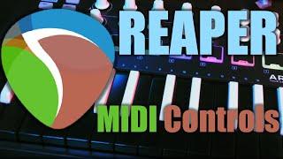 How to Use a MIDI Controller to Control DAW Actions in Reaper