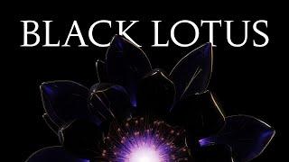 Matteo Tura - BLACK LOTUS