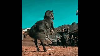 Aykurt Showed Osman Bey X Apls️ Amazing Action Of Horse  |  #shorts #youtubeshorts #oheditors