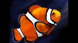 Как пользоваться Clownfish