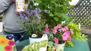 June 5th Top Selling Proven Winners Plants (Live Every Thursday At 3:30pm EST)