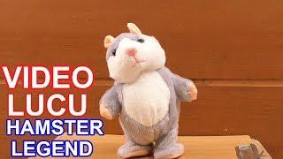 KOMPILASI VIDEO LUCU HAMSTER LEGEND GUDANG TUTORIAL