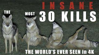 30 UNBELIEVABLE PREDATOR KILLS in 4K...the bar has been raised!