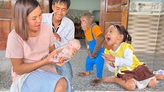 Baby Monkey Finally Comes Home – CUTIS Family’s Emotional Reunion